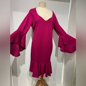 Raspberry dress with flare sleeveses and hem. Size 2X.